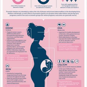 Pregnancy Nutrition 101 Infographic | What to Expect • bellybrief